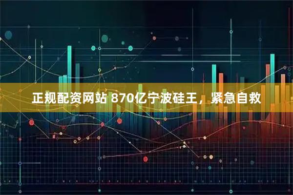 正规配资网站 870亿宁波硅王，紧急自救