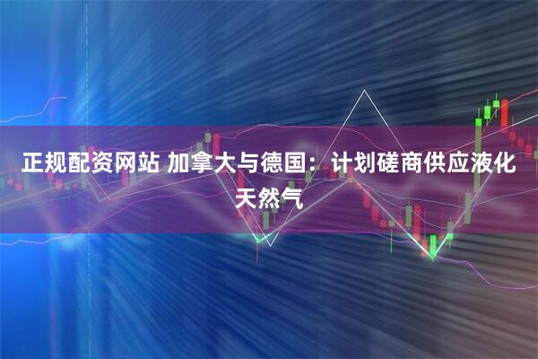 正规配资网站 加拿大与德国：计划磋商供应液化天然气
