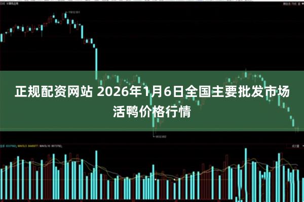 正规配资网站 2026年1月6日全国主要批发市场活鸭价格行情