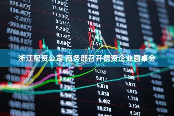 浙江配资公司 商务部召开德资企业圆桌会