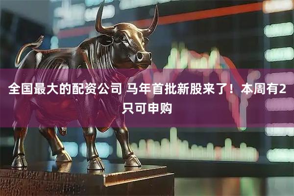 全国最大的配资公司 马年首批新股来了！本周有2只可申购
