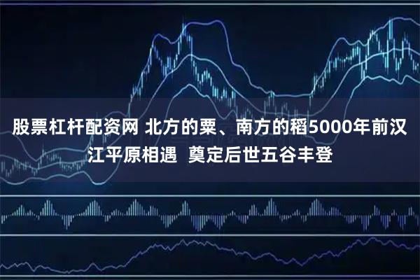 股票杠杆配资网 北方的粟、南方的稻5000年前汉江平原相遇  奠定后世五谷丰登