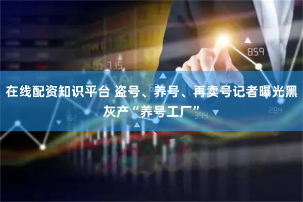 在线配资知识平台 盗号、养号、再卖号记者曝光黑灰产“养号工厂”